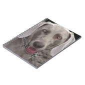 Weimaraner Notitieboek (Linkerzijde)