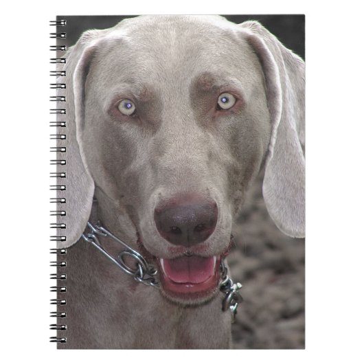 Weimaraner Notitieboek (Voorkant)