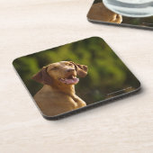Weimaraner Onderzetter (Linkerzijde)