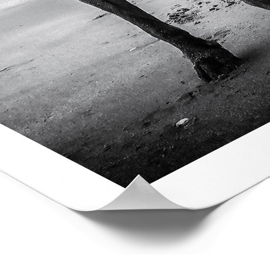 Weimaraner op Beach Print (Hoek)