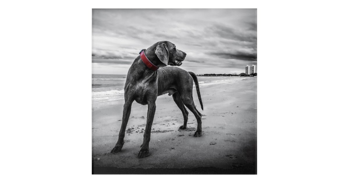 Download Strand kunst aan de muur For Android