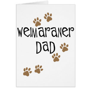 Weimaraner Pap