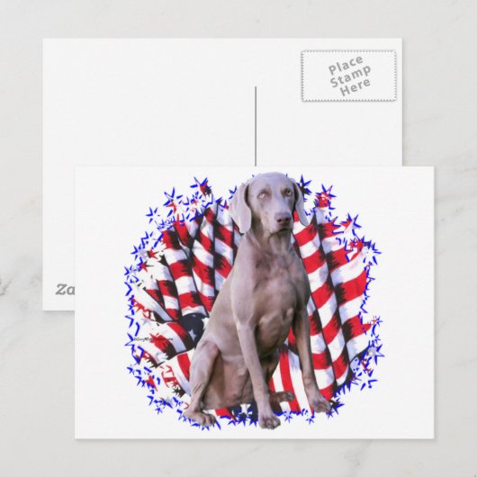 Weimaraner Patriot Briefkaart (Voorkant / Achterkant)