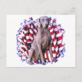 Weimaraner Patriot Briefkaart (Voorkant)