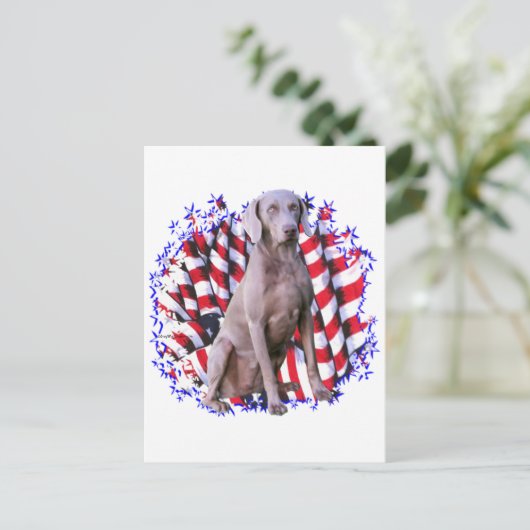 Weimaraner Patriot Briefkaart (Staand voorkant)
