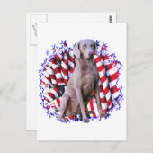 Weimaraner Patriot Briefkaart (Voorkant / Achterkant)