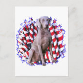 Weimaraner Patriot Briefkaart (Voorkant)