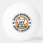 Weimaraner peering thru the letter "O" in Gold Pingpongbal (Achterkant)