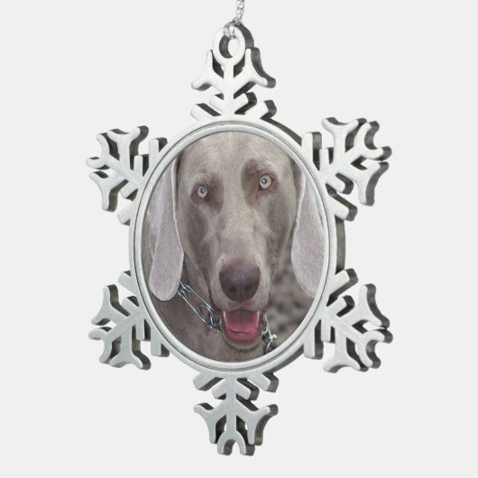 Weimaraner Pewter Snowflake Ornament (Rechts)