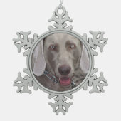 Weimaraner Pewter Snowflake Ornament (Voorkant)