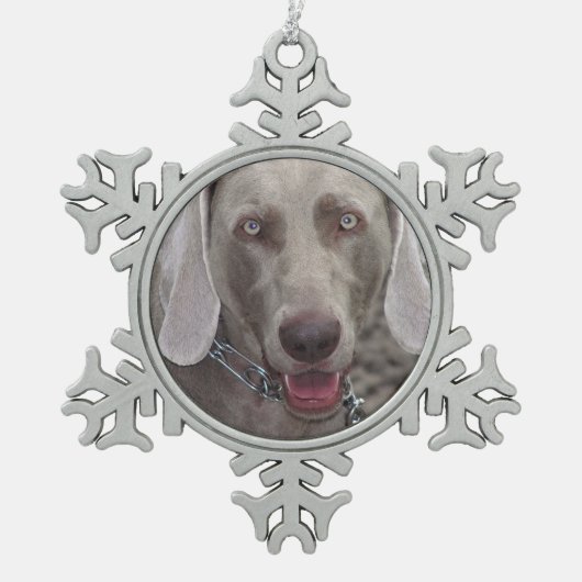 Weimaraner Pewter Snowflake Ornament (Voorkant)