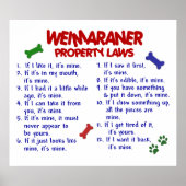 WEIMARANER PL2 POSTER (Voorkant)