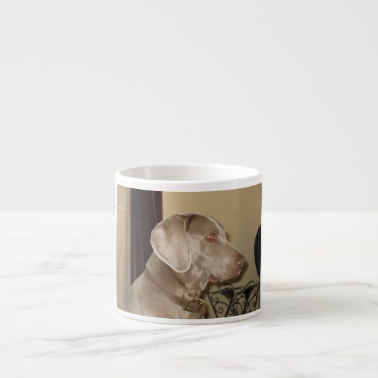 weimaraner.png espresso kop (Voorkant)