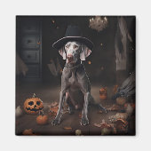 Weimaraner pompoenen Halloween eng Magneet (Voorkant)
