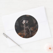 Weimaraner pompoenen Halloween eng Ronde Sticker (Envelop)
