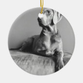 Weimaraner Portrait Keramisch Ornament (Voorkant)