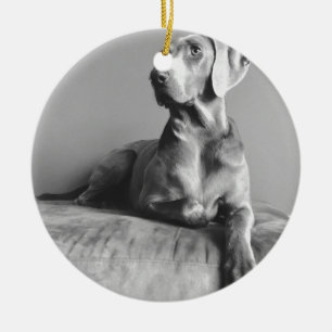 Weimaraner Portrait Keramisch Ornament