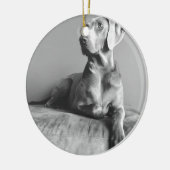 Weimaraner Portrait Keramisch Ornament (Links)