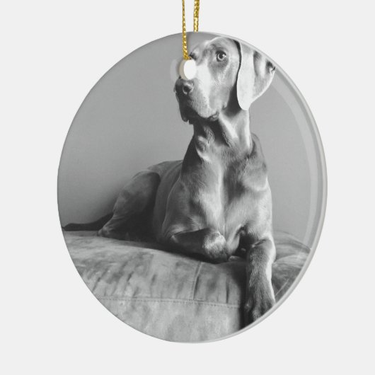 Weimaraner Portrait Keramisch Ornament (Links)