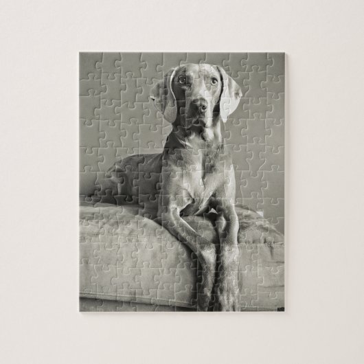 Weimaraner Portrait Legpuzzel (Verticaal)