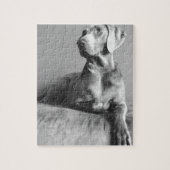 Weimaraner Portrait Legpuzzel (Verticaal)