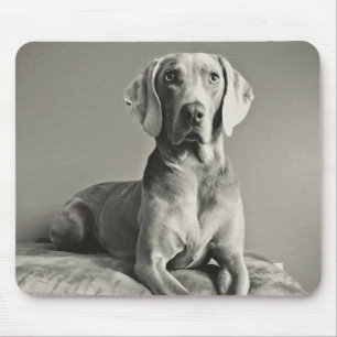 Weimaraner Portrait Muismat