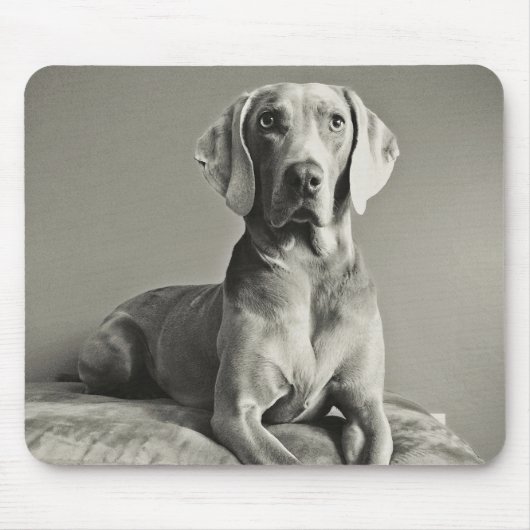 Weimaraner Portrait Muismat (Voorkant)