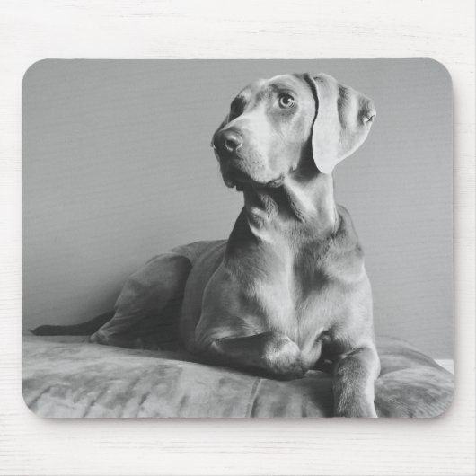 Weimaraner Portrait Muismat (Voorkant)