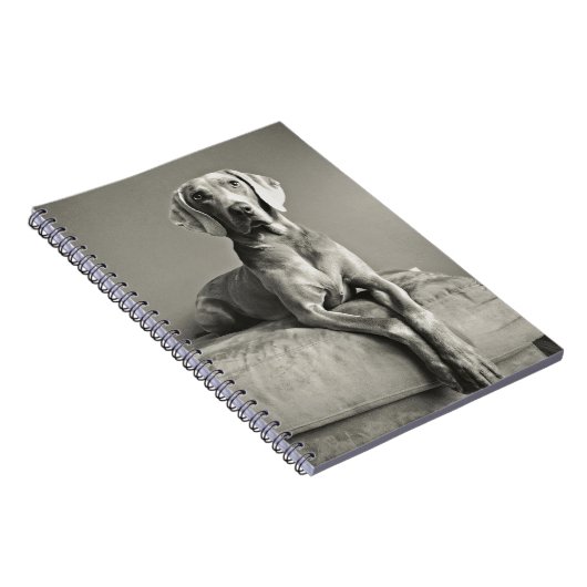 Weimaraner Portrait Notitieboek (Rechterzijde)