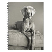 Weimaraner Portrait Notitieboek (Voorkant)