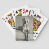 Weimaraner Portrait Pokerkaarten (Achterkant)