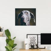 Weimaraner Portrait Poster (Thuiskantoor)