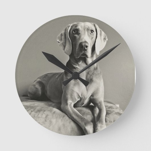 Weimaraner Portrait Ronde Klok (Voorkant)