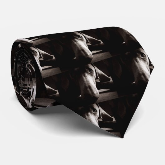 Weimaraner-portret Stropdas (Opgerold)