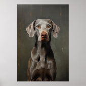 Weimaraner Poster (Voorkant)