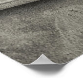 Weimaraner Poster (Hoek)