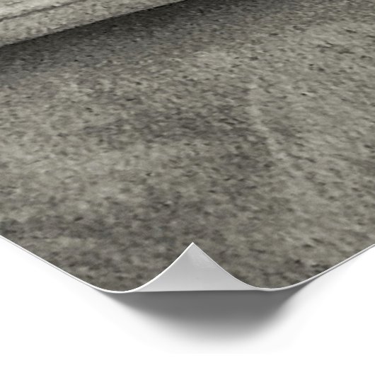 Weimaraner Poster (Hoek)