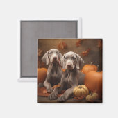 Weimaraner Pup Autumn Delight Pumpkin Magneet (Voorkant / Achterkant)