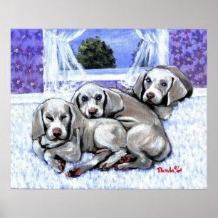 Weimaraner Puppies Dog Portrait Poster