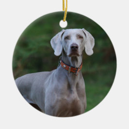 Weimaraner Puppy Dog Keramisch Ornament