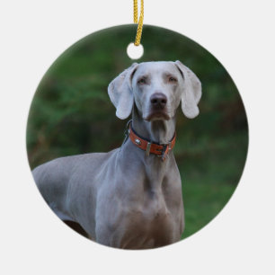 Weimaraner Puppy Dog Keramisch Ornament