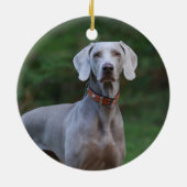 Weimaraner Puppy Dog Keramisch Ornament (Achterkant)