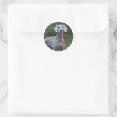 Weimaraner Puppy Dog Ronde Sticker (Tas)