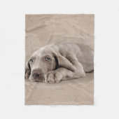 Weimaraner puppy fleece deken (Voorkant)