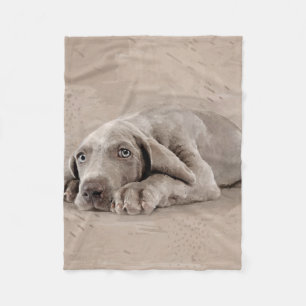 Weimaraner puppy fleece deken