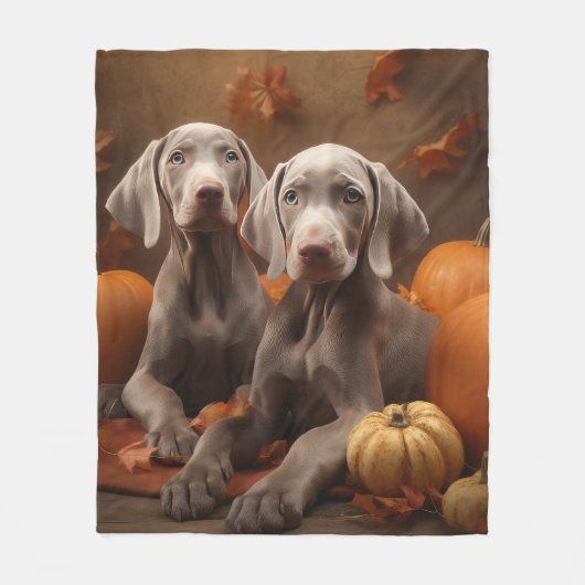 Weimaraner Puppy Herfst Delight Pompoen Fleece Deken (Voorkant)
