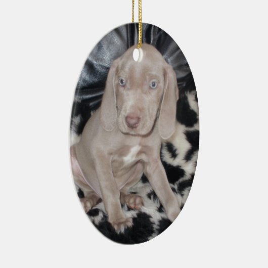 Weimaraner Puppy Keramisch Ornament (Rechts)