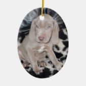 Weimaraner Puppy Keramisch Ornament (Voorkant)