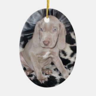 Weimaraner Puppy Keramisch Ornament