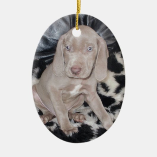 Weimaraner Puppy Keramisch Ornament (Voorkant)